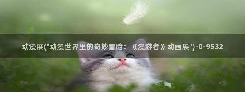 同人动漫:动漫展(\